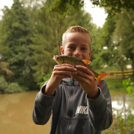 Saevis Tranquillus In Undis In De Ijsvogel Villa Diffelen Buitenkant foto