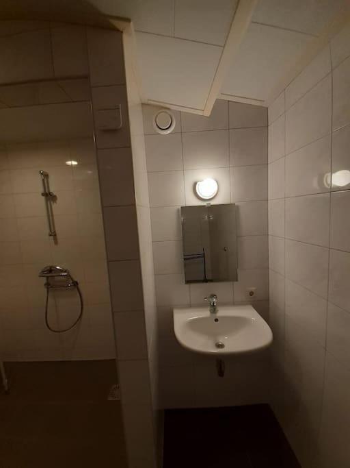Saevis Tranquillus In Undis In De Ijsvogel Villa Diffelen Buitenkant foto