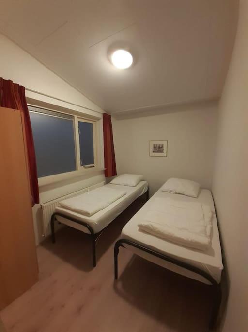 Saevis Tranquillus In Undis In De Ijsvogel Villa Diffelen Buitenkant foto
