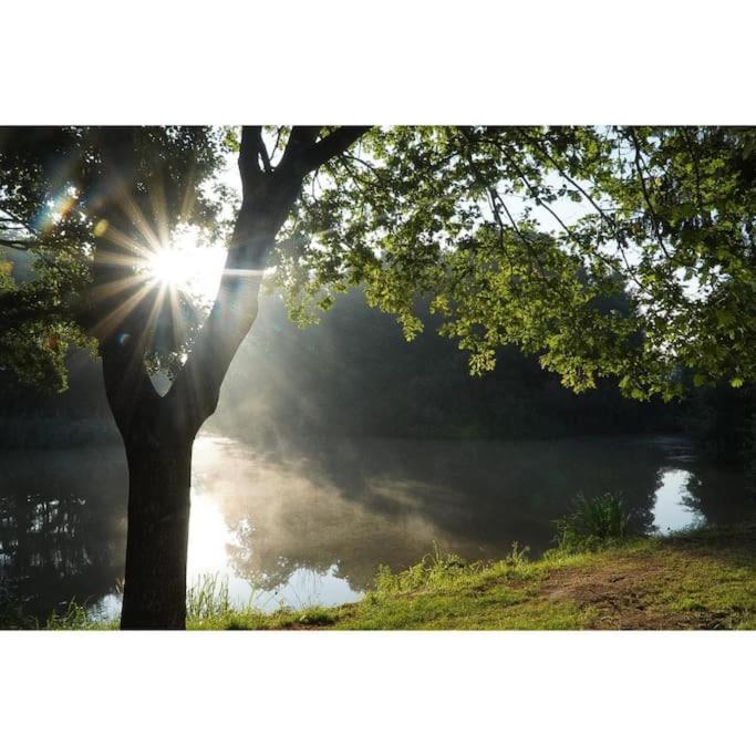 Saevis Tranquillus In Undis In De Ijsvogel Villa Diffelen Buitenkant foto